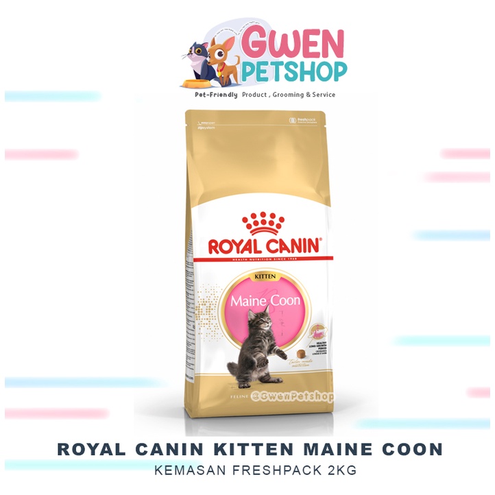 ROYAL CANIN KITTEN MAINE COON 2KG - Kitten mainecoon