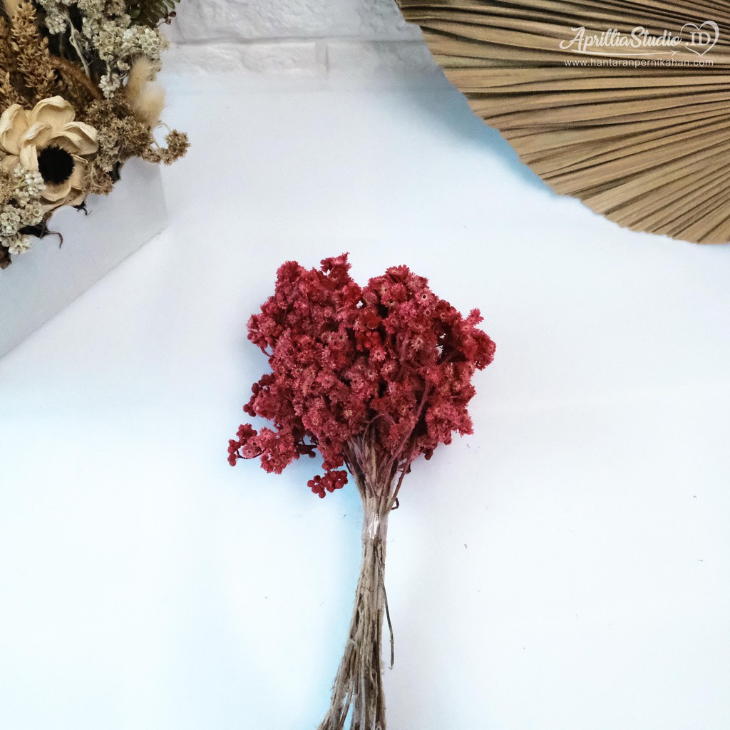 DRIED FLOWER | BUNGA KERING | EDEL - MEDIUM