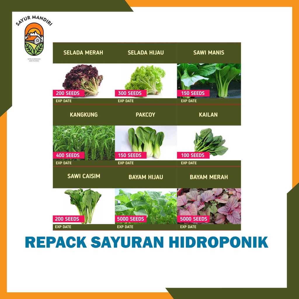 Benih Sayuran Hidroponik Murah