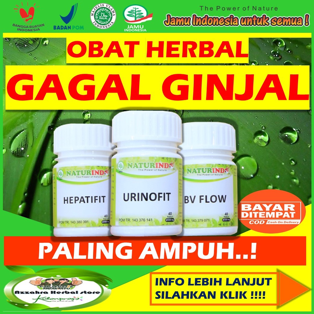 Obat herbal ginjal tanpa cuci darah
