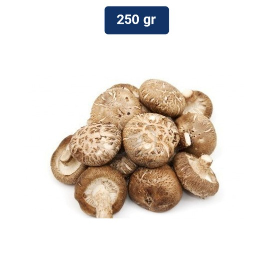 

Jamur Shitake 250 gr