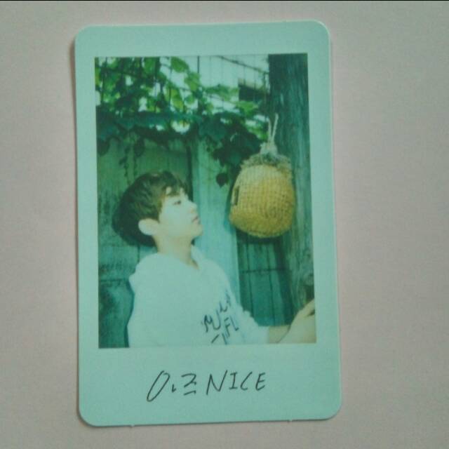 AJU NICE Hoshi Small Pola