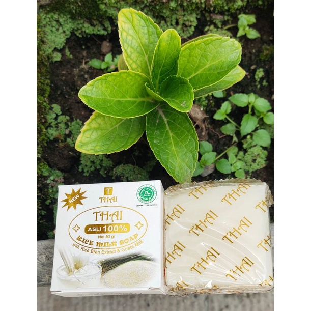 Thai Goats Rice Milk Brightening Soap Sabun Thai Susu Kambing Shopee Indonesia