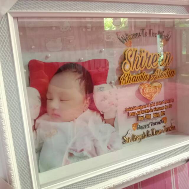BIODATA BABY