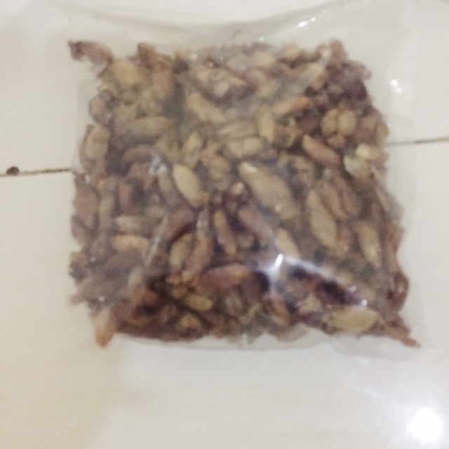 Promo Cumi Kecil/Sotong kering Medan