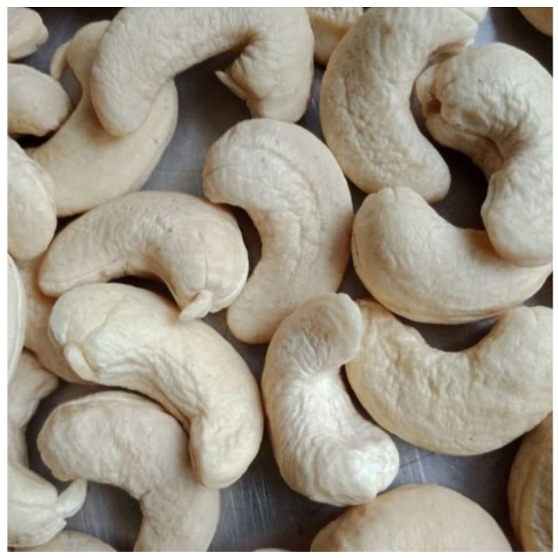 

Mede mentah jumbo 1000gr