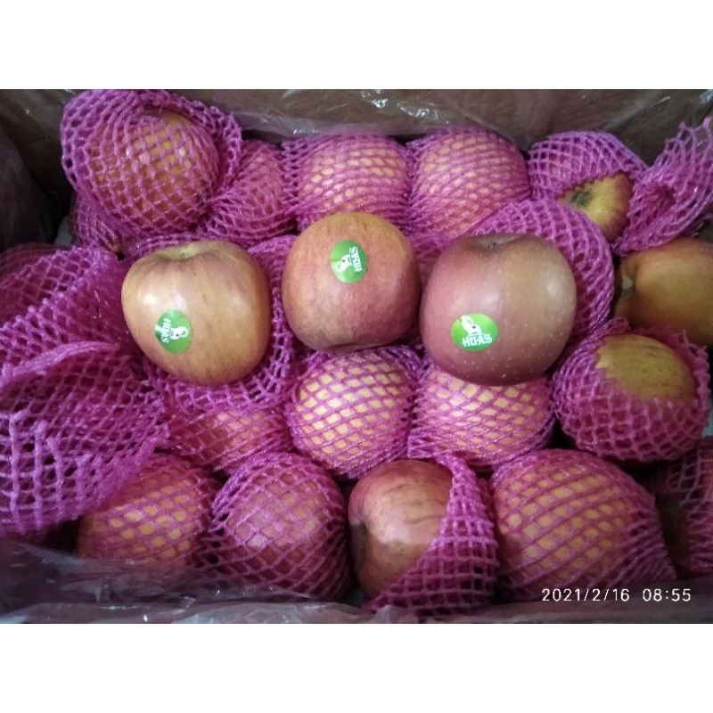 

Apel fuji