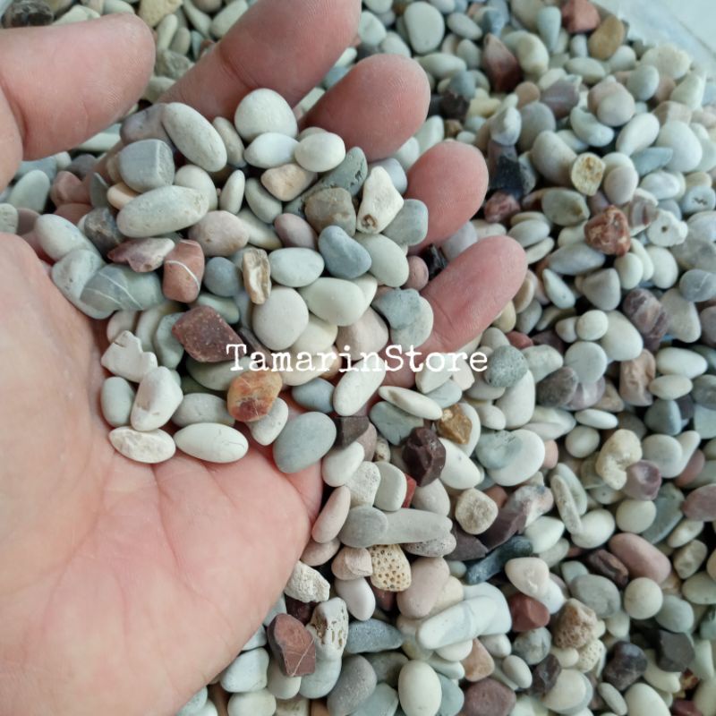 Batu Koral Hias  Pancawarna Multi Color 1000 Gram Batu Hias Aquascape Multifungsi