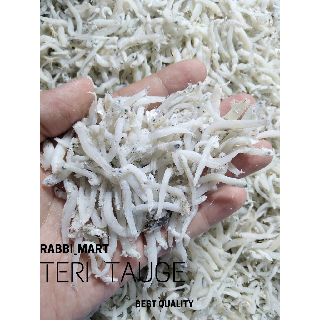 

Teri Nasi Tauge Belawan Grade B+