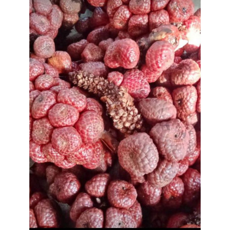 

ASAM MARAM/ ASAM PAYAK 1KG