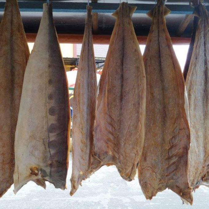 

ikan jambal Pontianak 1 ekor / Yen Pou / Jan phu ---Terbaru---