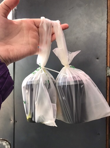 Kantong (17x32cm) Ramah Lingkungan Dari Singkong - Produk Indonesia