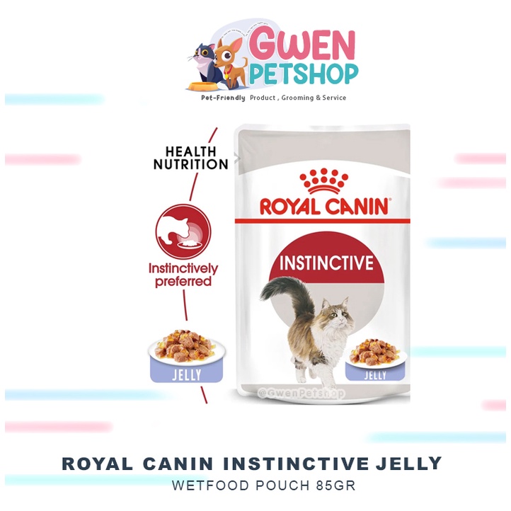 Royal Canin Pouch 85gr - Adult Jelly