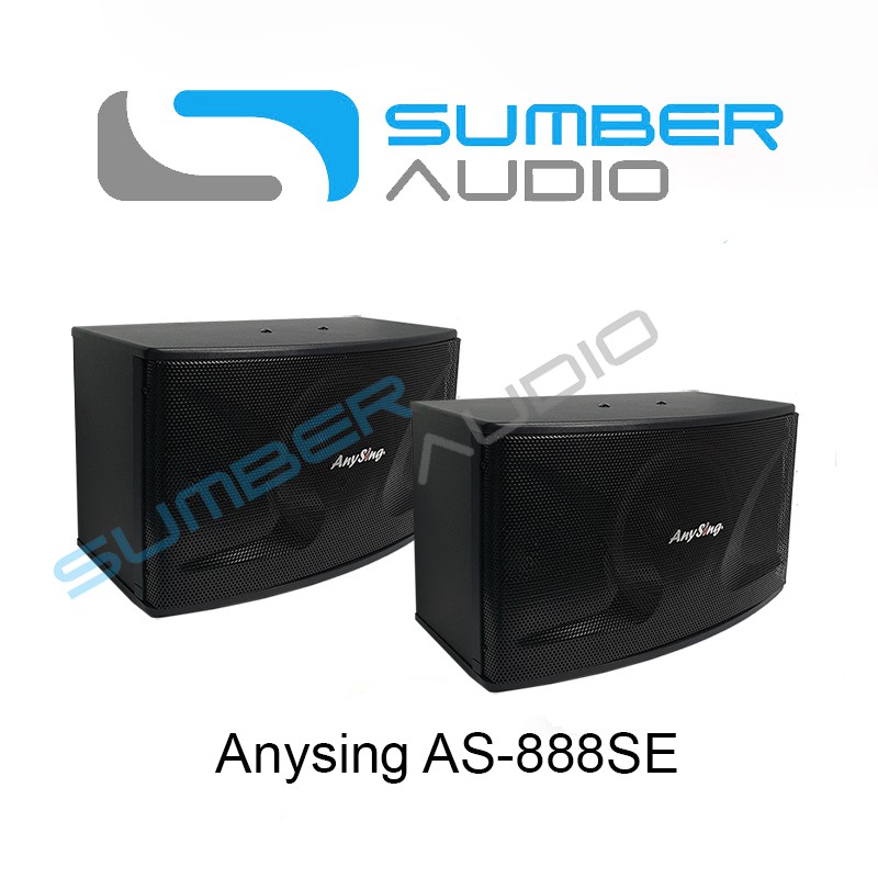 ANYSING AS888SE Speaker Karaoke 3 Way 10 Inch