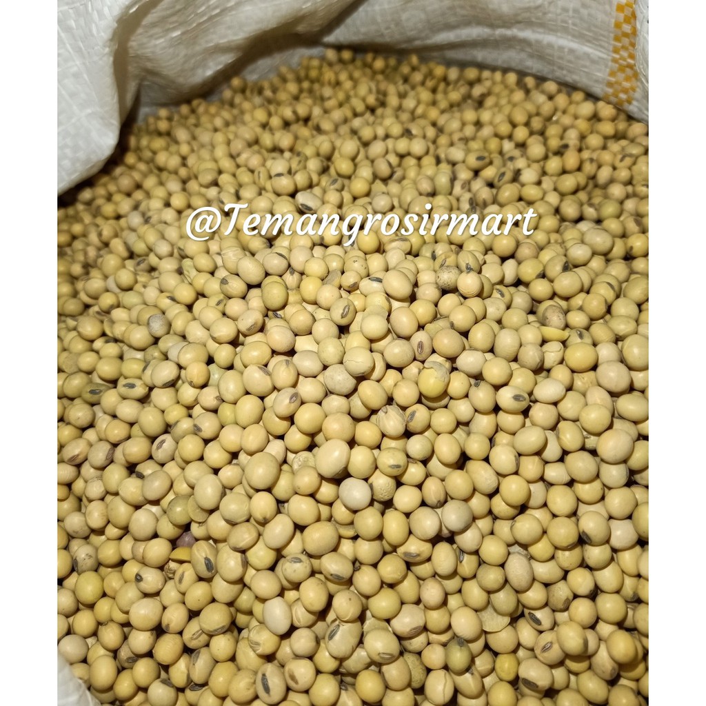 

Kacang Kedelai Premium Quality 500 gram / Kacang Kedele