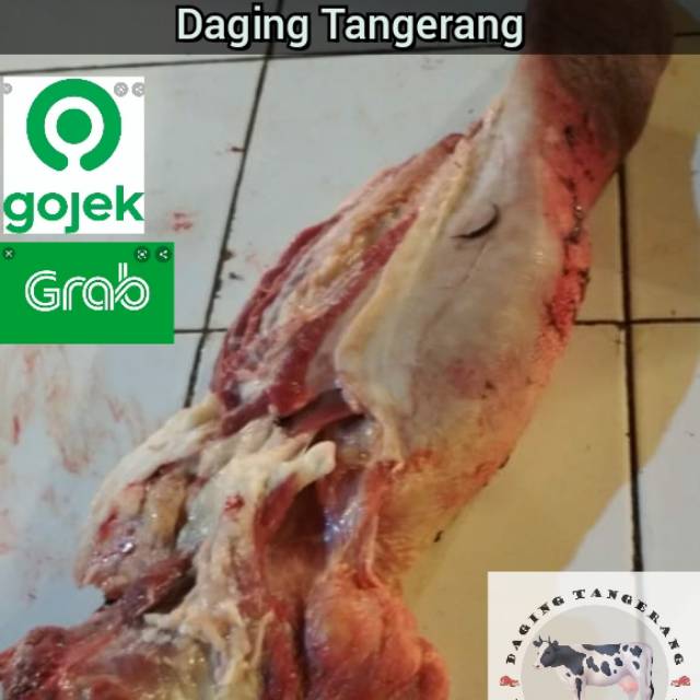 

Lidah sapi / beef tongue