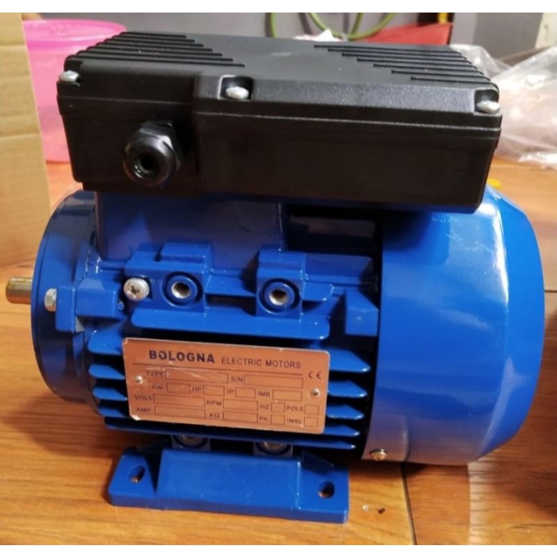 BOLOGNA ELECTRIC MOTOR BLY-71M2-4 sjt