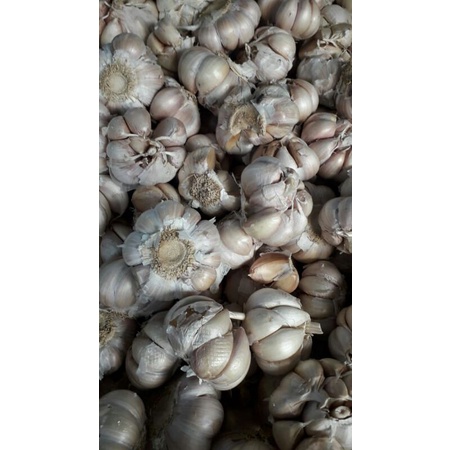 

bawang putih 500grm