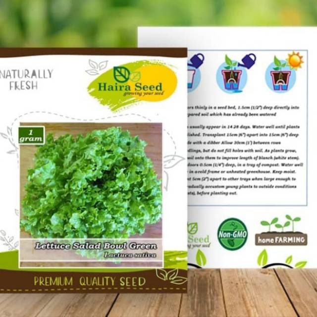 Bibit selada keriting haira seed