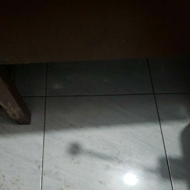 Tdus T Dus Tedus Cabang 3 Cabang 4 Putih 20mm Lav