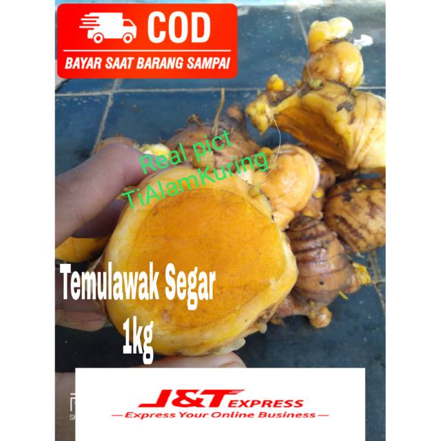 

Ready TEMULAWAK segar 1kg Pencegah/ Penangkal Virus Corona