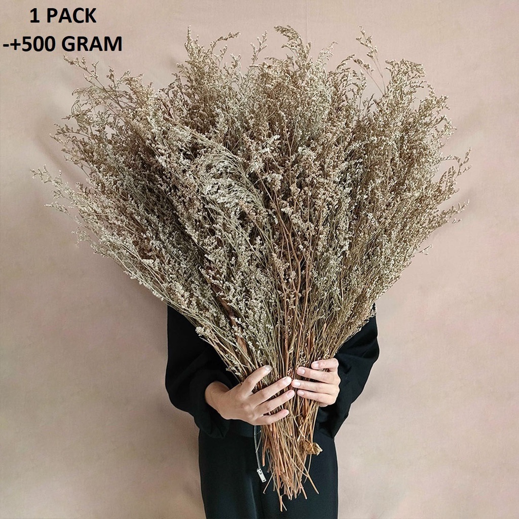 Dried Natural Caspea/Lovergrass Flower Bunga Kering Asli Dekorasi Hias Pajangan Rumah