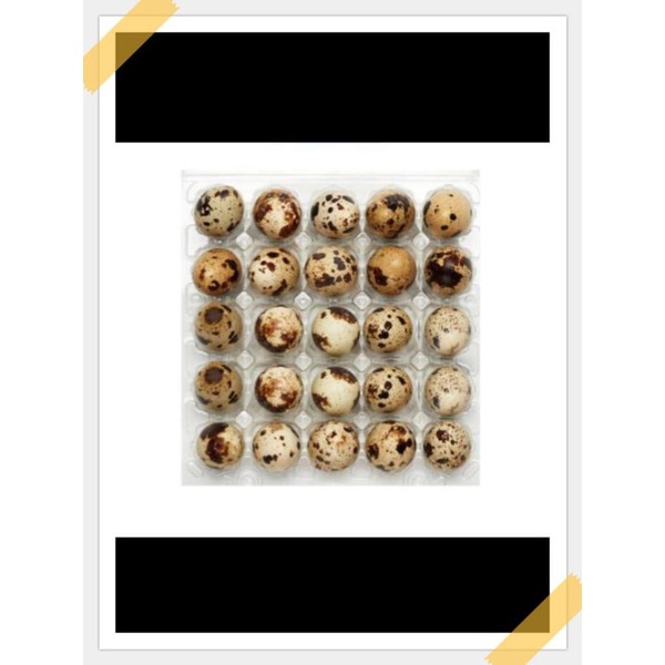 

Telur puyuh fresh 25 biji