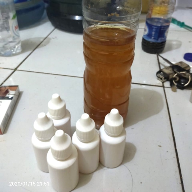 

minyak biawak