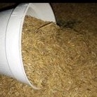 sekam mentah 700 grm