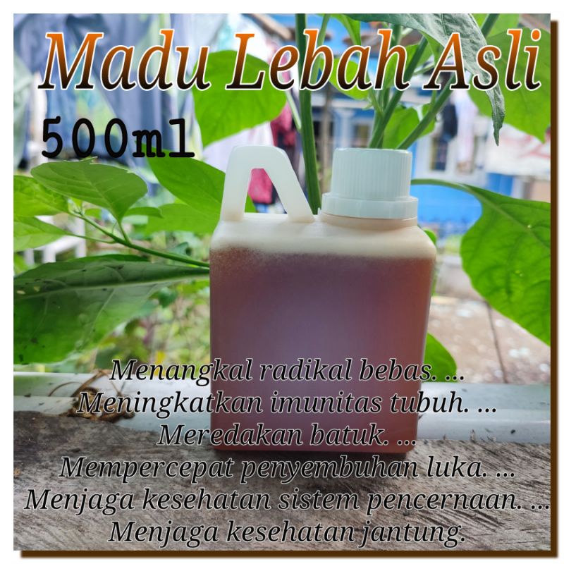 

Madu Lebah asli ukuran 500ml