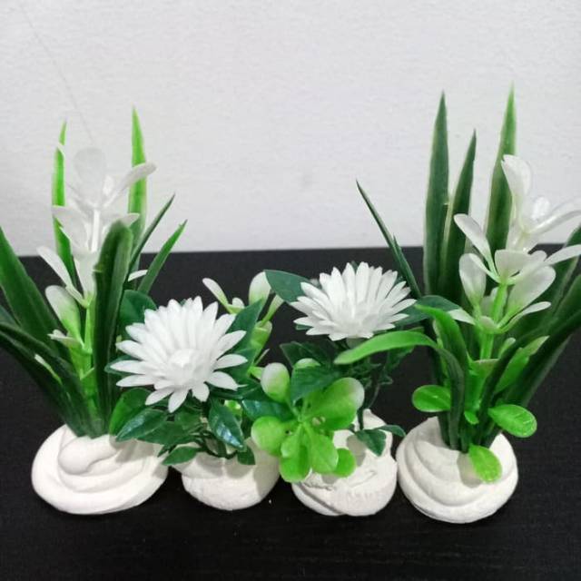 Paket Tanaman Hias Cantik Plastik Mini Aquarium Murah 4pcs