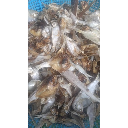 

hasil laut fress dan Frozen