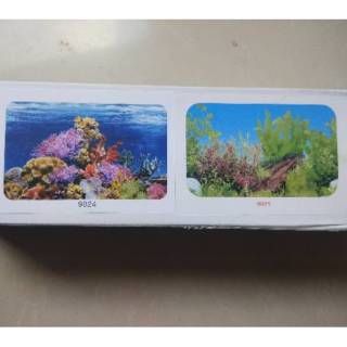 Unduh 8800 Koleksi Background Aquarium Gambar Batu HD Terbaru