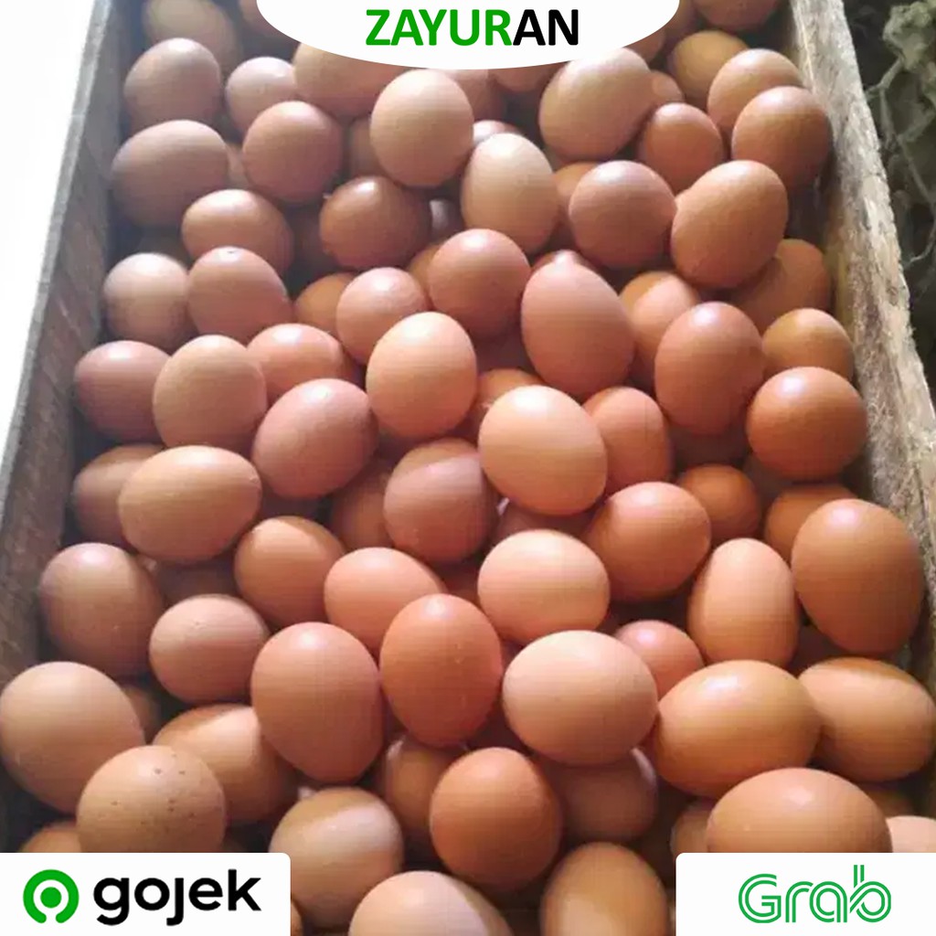 

Telur 1 Kg | Zayuran
