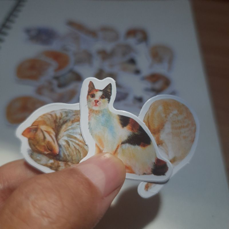 

STIKER AESTHETIC ┃STIKER LUCU GAMBAR KUCING ┃CUTE CAT STIKERS ┃STIKER DECO UNTUK JURNAL DAN SCRAPBOOK┃ STIKER HP & TUMBLR ( Random, 10 pcs )