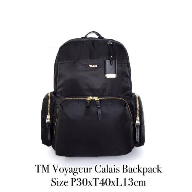 Tumi Voyageur Calais Backpack