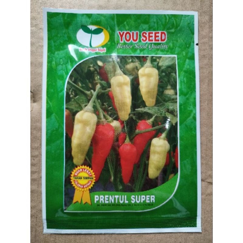 Benih Cabe Prentul Super 10gram You Seed