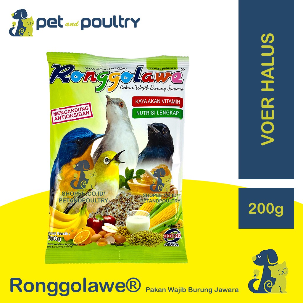 RONGGOLAWE VOER HALUS PAKAN BURUNG PLECI KOLIBRI CIBLEK PRENJAK GELATIK DECU TLEDEKAN PANCAWARNA