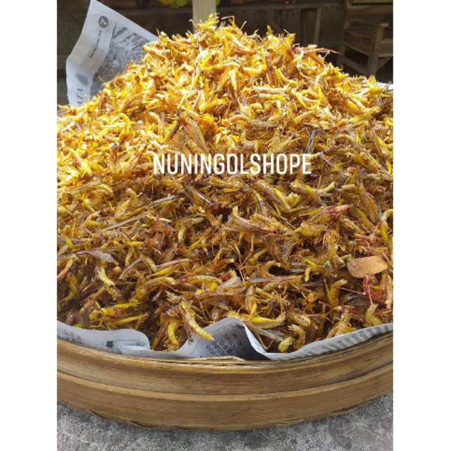 

Belalang / walang goreng 1/2kg