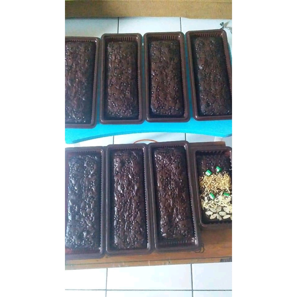 

Brownies fudgy