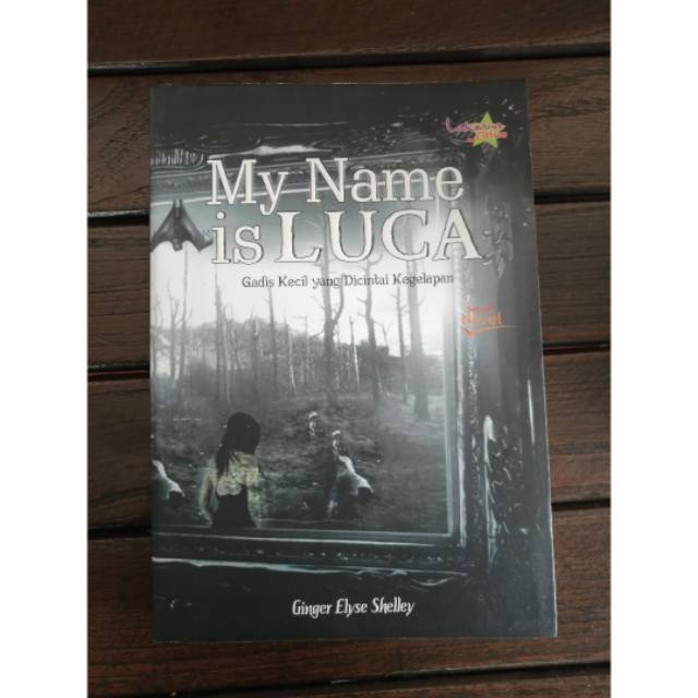 Novel My Name is Luca