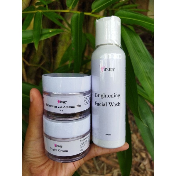 paket flex basic inusa skincare