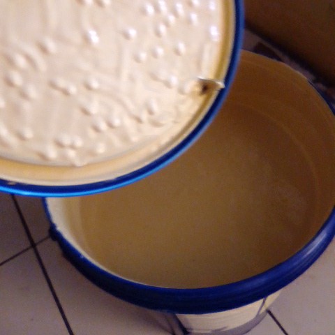 Dulux Catylac Cat Interior - Light Ivory Warna Tinting 25kg