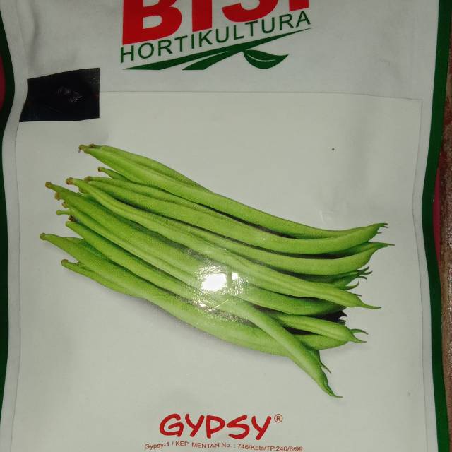 Obral HG Benih Buncis Gypsy isi 150 biji BISI CAP KAPAL TERBANG