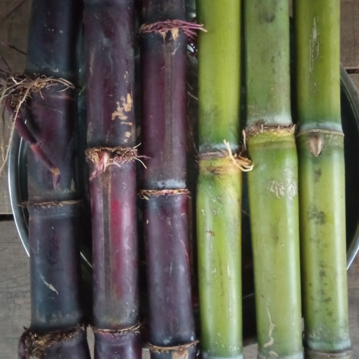 

[New] tebu hijau dan hitam 1kg