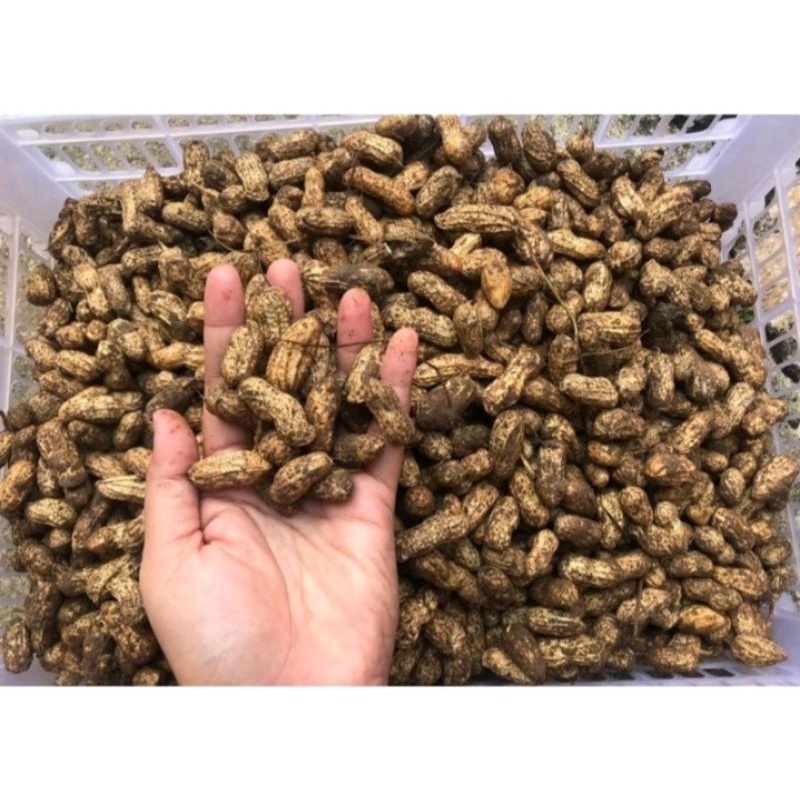 

Kacang Tanah/Kualitas/500gram-1000gram