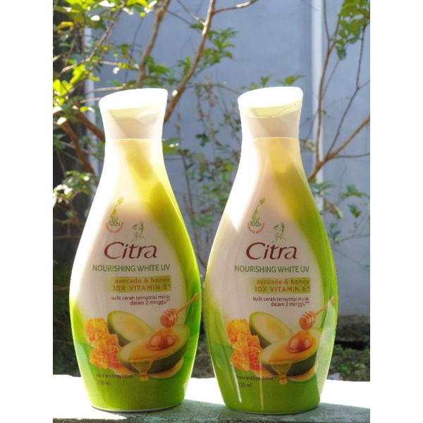 Citra Hand Body Lotion Avocado & Honey 230 ml