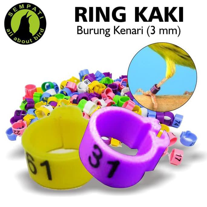 RING JEPIT 3 MM UNTUK KAKI BURUNG KENARI NEW