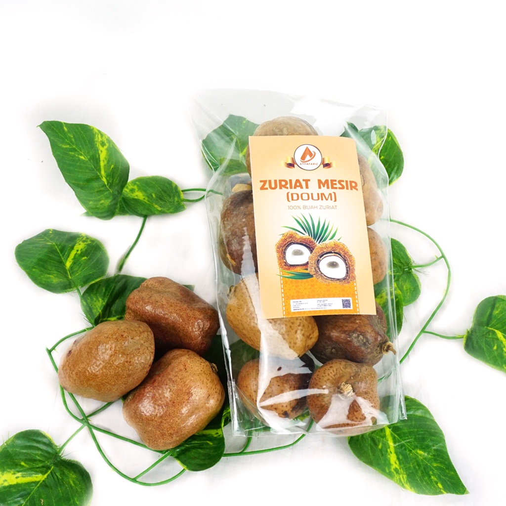 

Buah Zuriat Mesir 1 Kg Original Athafariz Buah Doum Promil Premium Kemtan