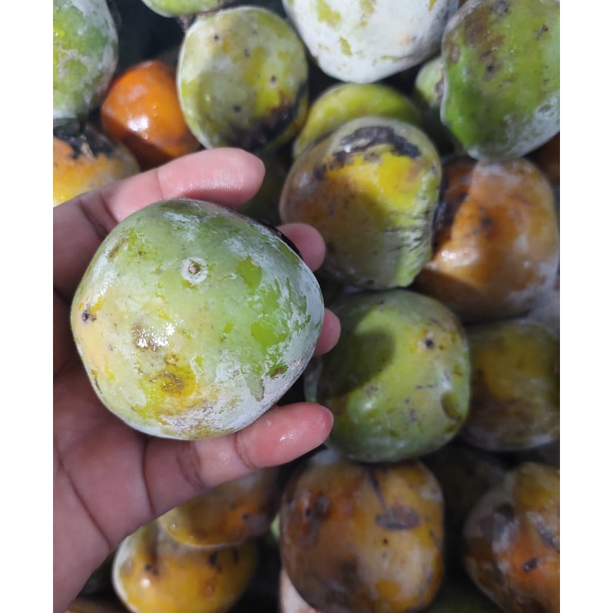 Buah kesemek lokal per 1 kg